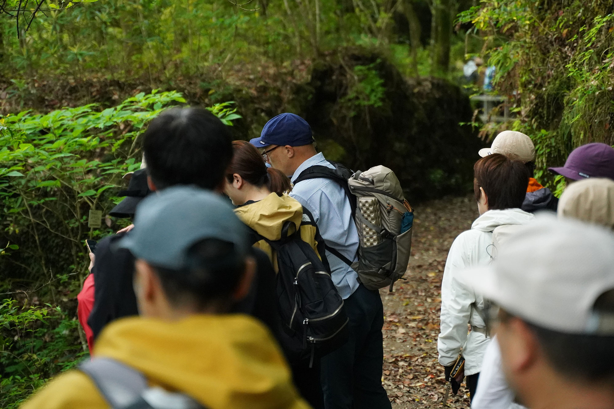 様々な自然を説明するお客様