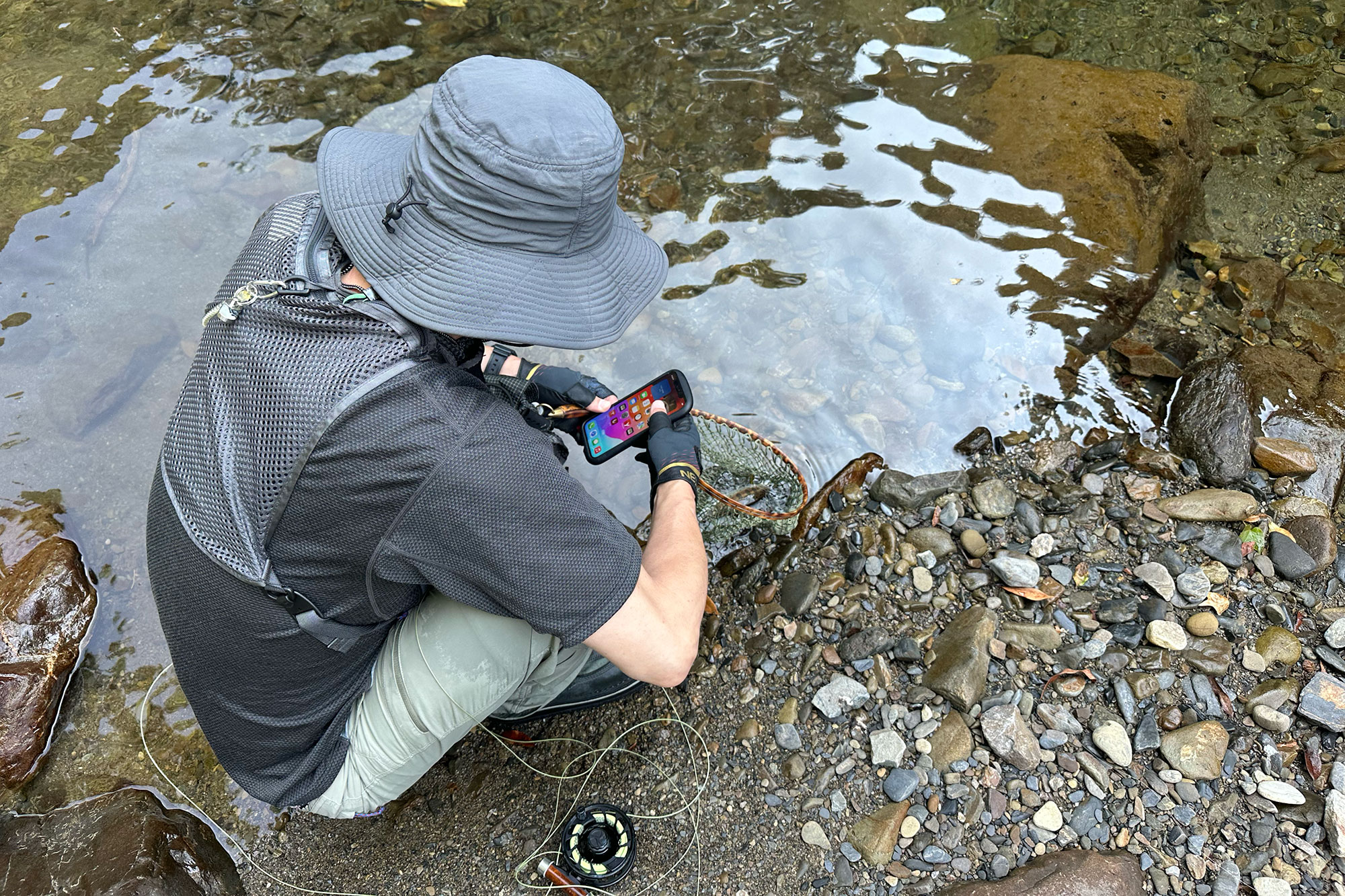 念願、宮崎県で初山女魚