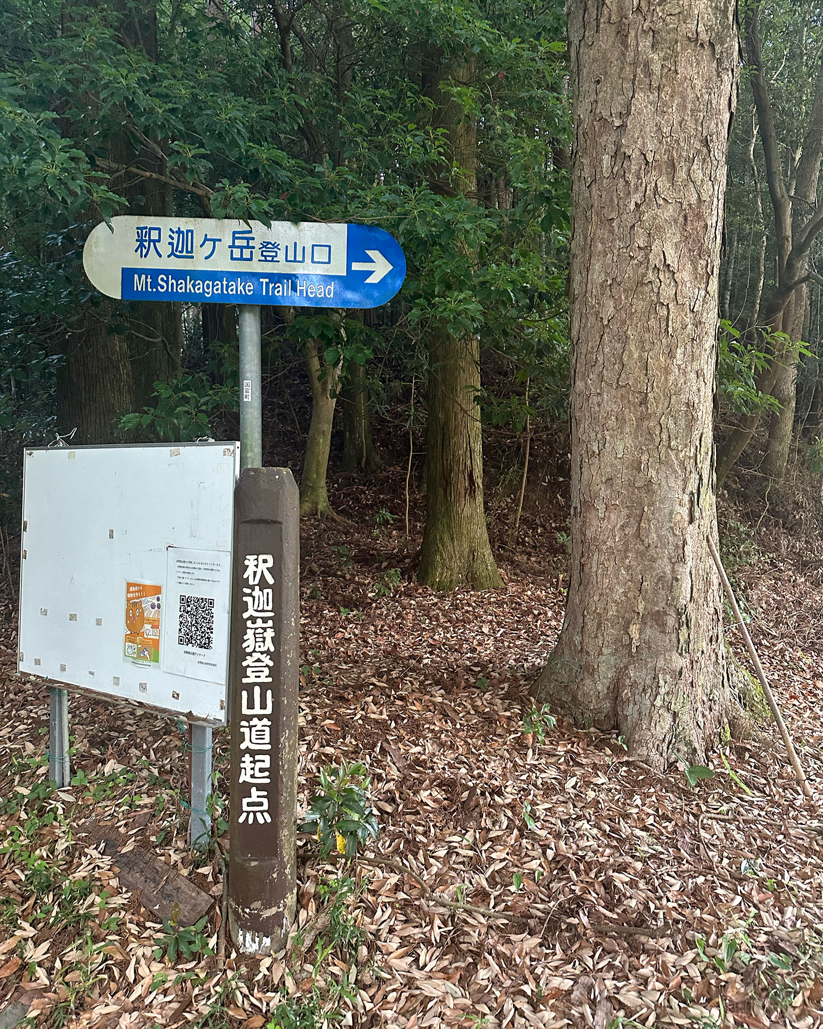 登山口