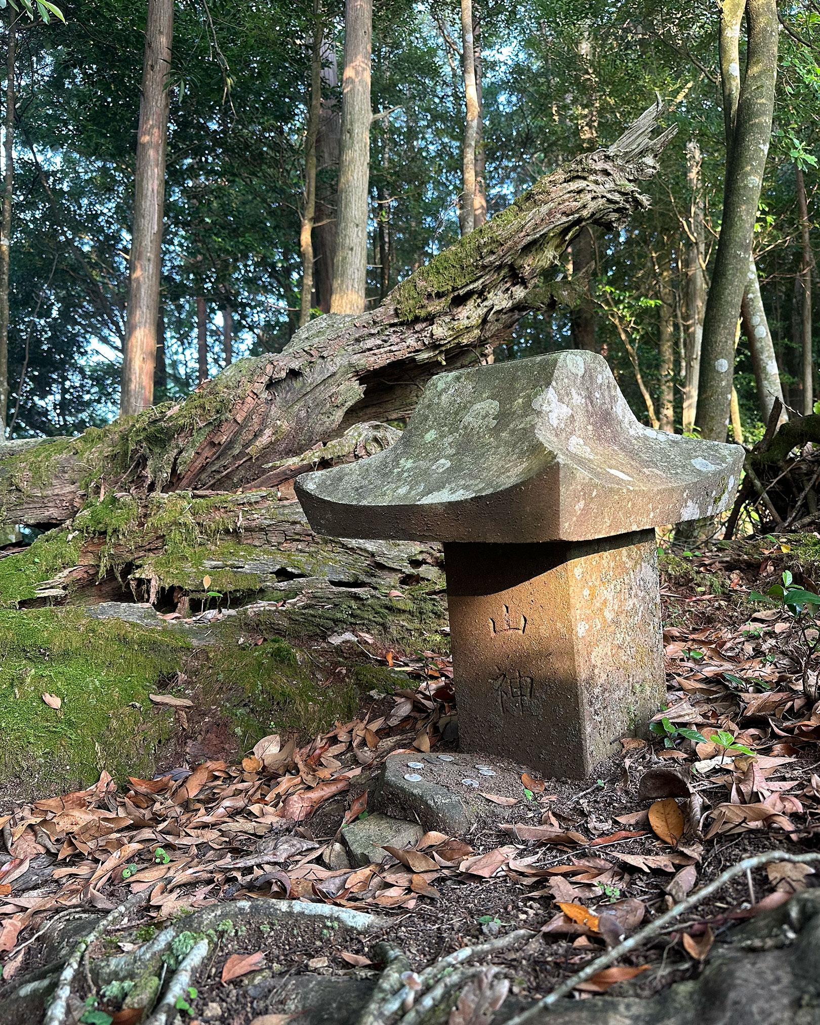 山神様